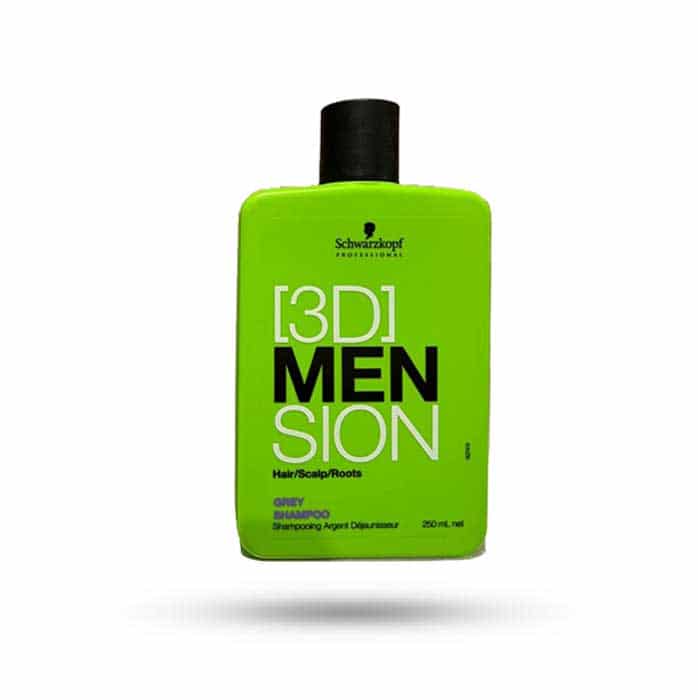 شامپو مراقبت روزانه موهای خاکستری و سفید مدل 3d men حجم 250 میل